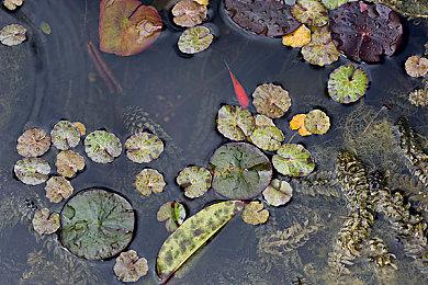 GBA经典游戏《西格玛星际传说》25年登陆现代平台